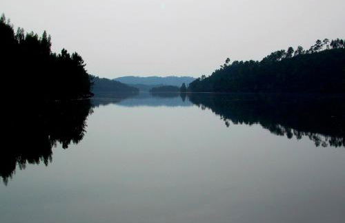 Quinta do Troviscal - Foto 79