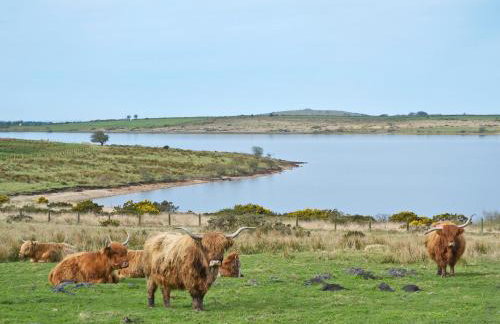 The Hurlers - Photo 10