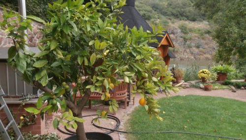 Ferienwohnung Saaleblick - Foto 5, Garden