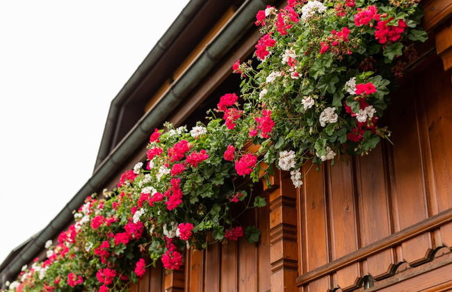 Ferienwohnung, Bernau - Foto 16