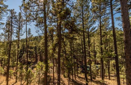 My Happy Place by Ruidoso Vacation Rentals - Foto 70