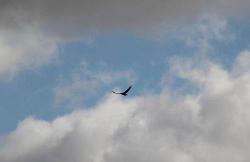 El Almendro de Fuentes Nuevas - Foto 41