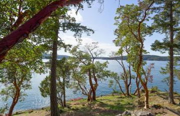 Hook's Nest-Magnificent Waterfront Luxury Home - Foto 52