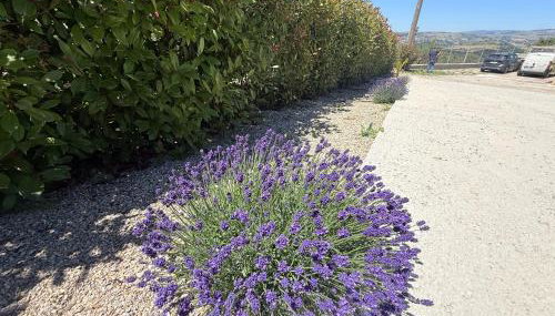Relais Green Paradise - Foto 2