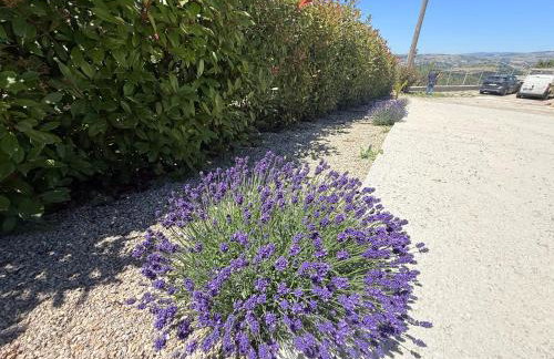 Relais Green Paradise - Foto 2