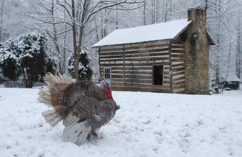 DO NOT Book property sold requested removal multiple times without luck Shenandoah NP Old Rag and White Oak Canyon - Foto 20