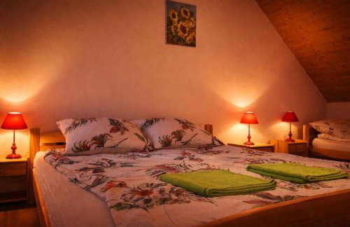 Dom u Braci - Photo 13