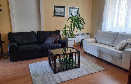 Apartman Soda - Foto 9