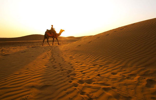 Al Majles Resort Day Pass - Photo 3