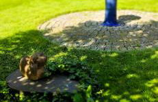 Ferienhaus Jan - Foto 22