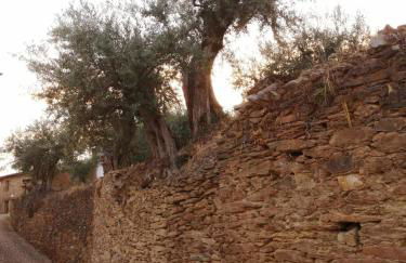 Casa de Pimenteis - Foto 22