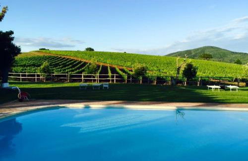 Il casale degli olivi - Foto 16