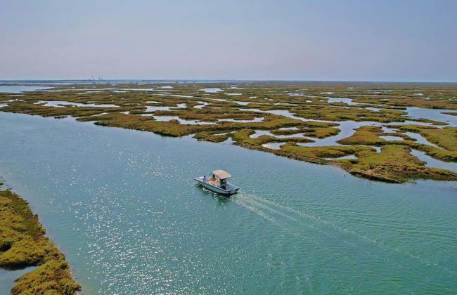 Paseo en barca ecológica por la Ría Formosa - Foto 13
