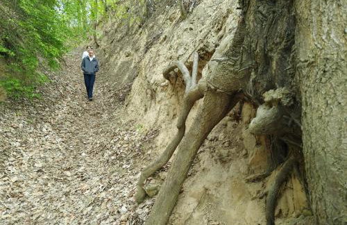 Lawendowy Domek agroturystyka, noclegi - 2,7 km od Bałtowa - Foto 62