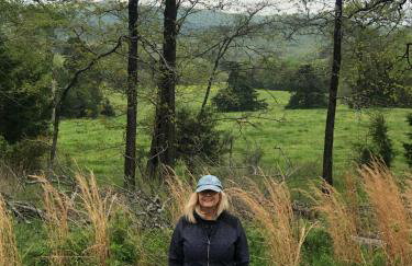 Collier Cabin on Collier Creek - Foto 62