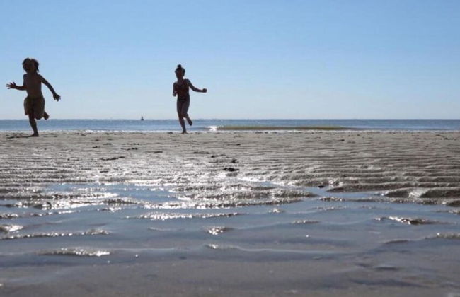 Villa in Dishoek Near Noordzee Beach - Photo 37