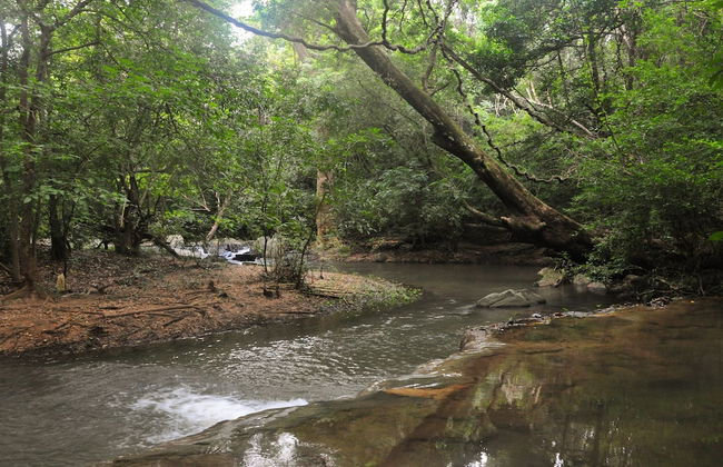 Back of Beyond - Dehigaha Ela - Photo 37