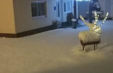 A&M studio apartman - Foto 2