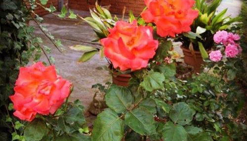 Casa di Paolo - Foto 5