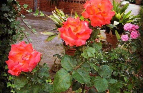 Casa di Paolo - Foto 5