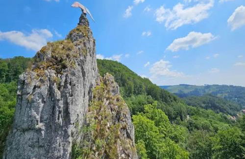 Charming Holiday Residence in the Harz With Wonderful Excursion Opportunities - Foto 86