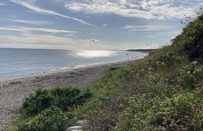 "Malte" - 75m from the sea - Photo 8