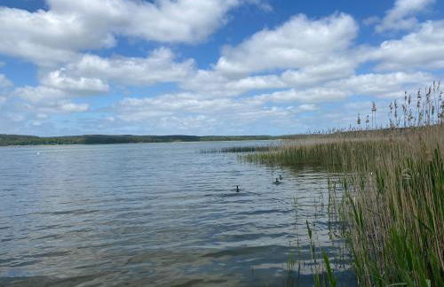 Ferienhaus am Schilfweg mit Kanu - Foto 21