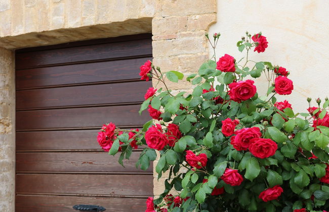 Casa Lisetta - Foto 35