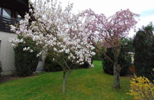 Ferienwohnung Holzberger - Foto 33