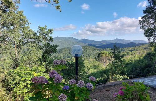 Casa Cossi - Foto 19