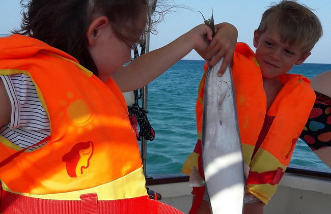 Paseo en barco de pesca con pescador profesional (grupo pequeño) - Foto 13