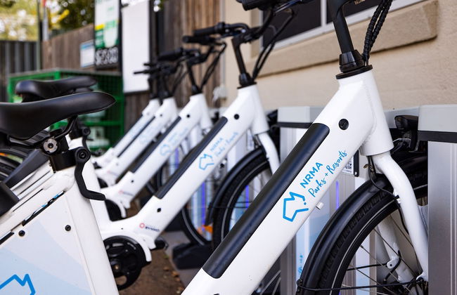 NRMA Dubbo Holiday Park - Foto 52