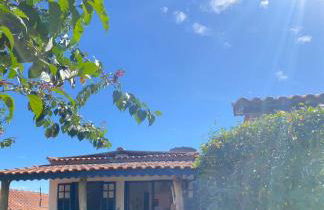 Casinha colibri - Photo 21