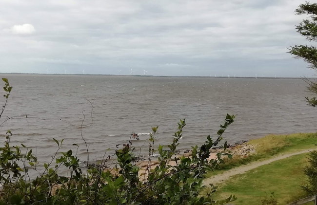 6 Person Holiday Home in Ulfborg - Foto 31