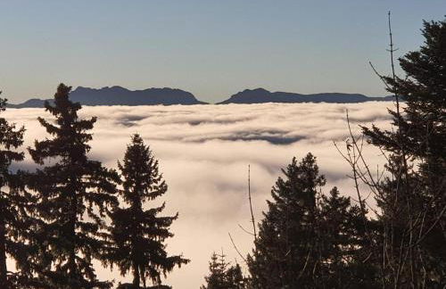Chamrousse 1700 - Asters A03 - Rez de Jardin, Piscine, Sauna, Terrasse plein sud - Foto 11