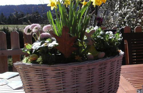 Ferienwohnung Tischneck - Foto 15