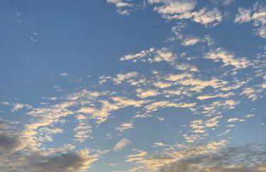 Luxury Loft Cabin 5 miles to TIEC for the Equestrian Internationl Games - Foto 36