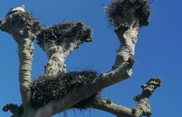Strasbourg Pont de l'Europe - Foto 24