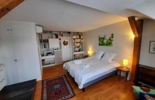 145m² city center 4 bedrooms view of the Cathedral - Foto 36