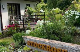 Ferienwohnung Stockrose - Foto 6