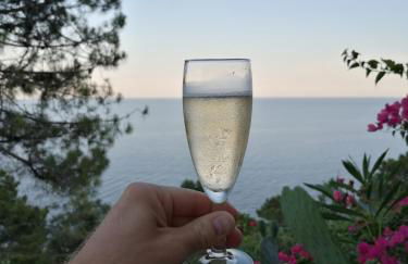 Villa Tarco, South Corsica, Sea View & Garden - Foto 33