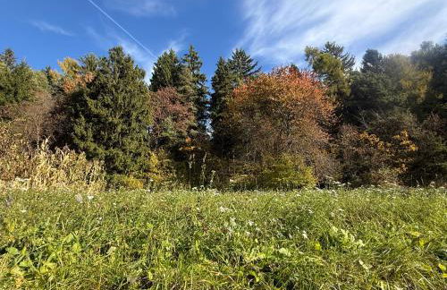 Ciasa Erica - Val di Non - Foto 7