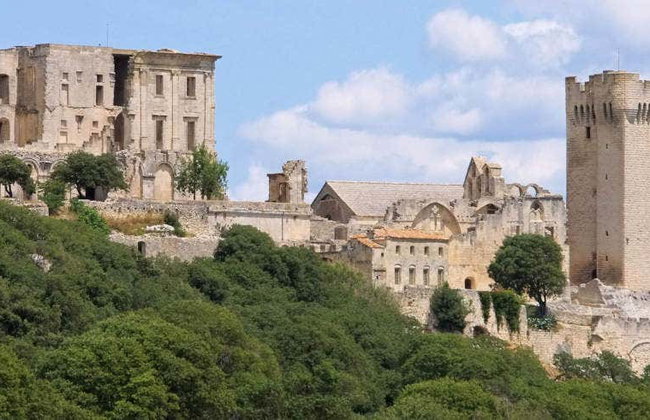 Montmajour Abbey Ticket - Foto 1