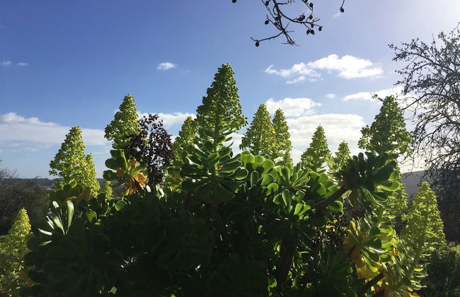 Attractive Portuguese Farm With Modern Decoration - Photo 24