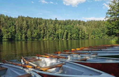 Altes Forsthaus Bodenmais - Foto 44