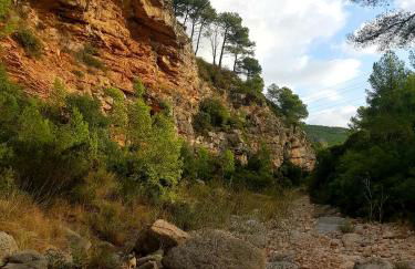 La Ultima Casa Masboquera - Foto 47