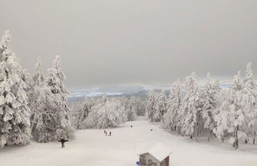 Apartment Siegmund by Interhome - Foto 20