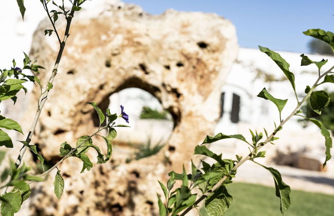 Masseria Ayroldi - Foto 61