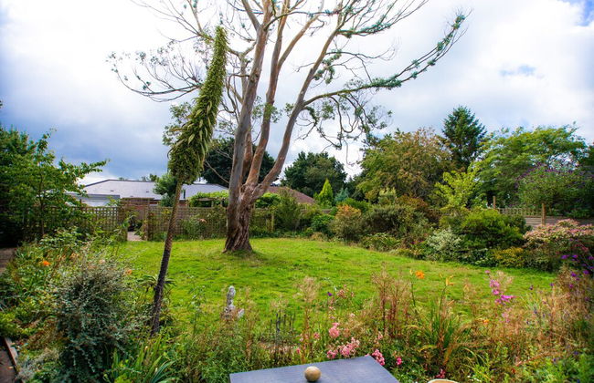 Trees Annex - Photo 18