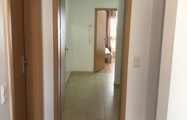 Sahara Falcon - Foto 69